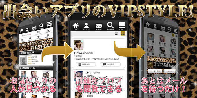 VIPスタイルTOP画像